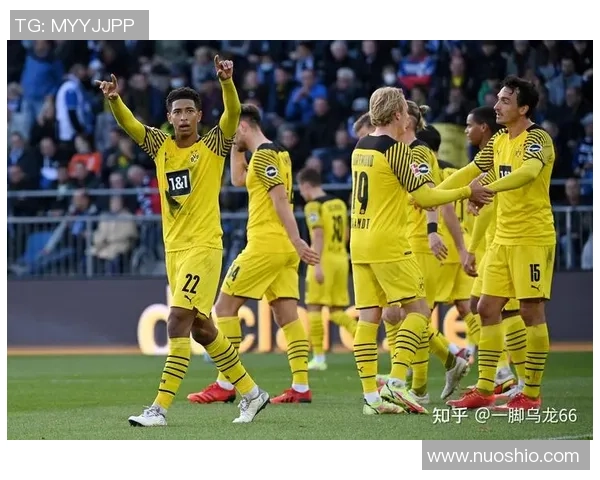 埃弗顿与南安普敦亚盘对比分析及赛前预测详解 埃弗顿与南安普敦亚盘对比分析及赛前预测详解